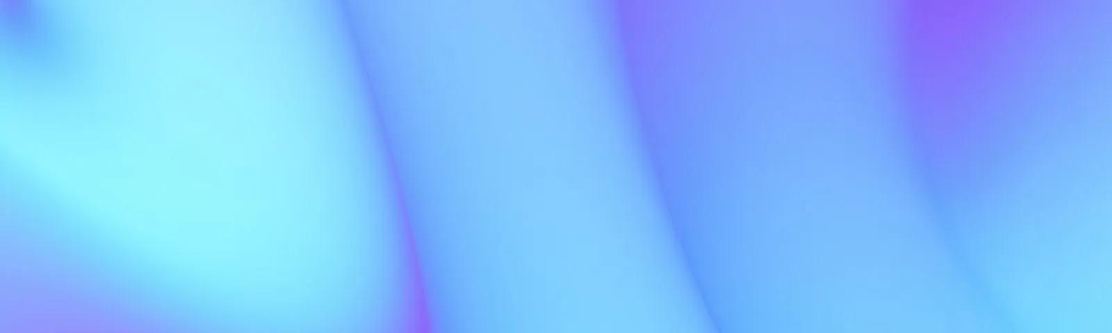 Custom Web Application Development